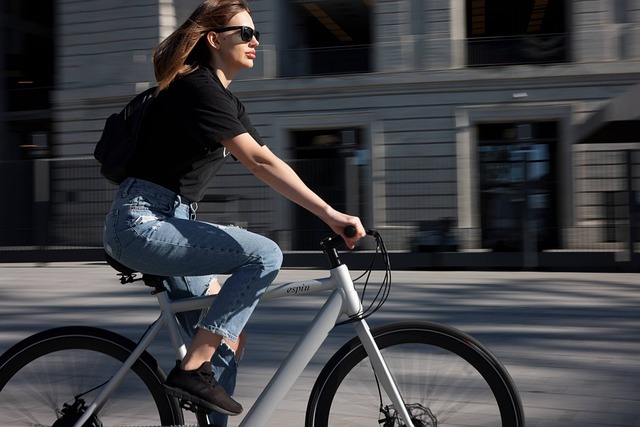 Electric Bike